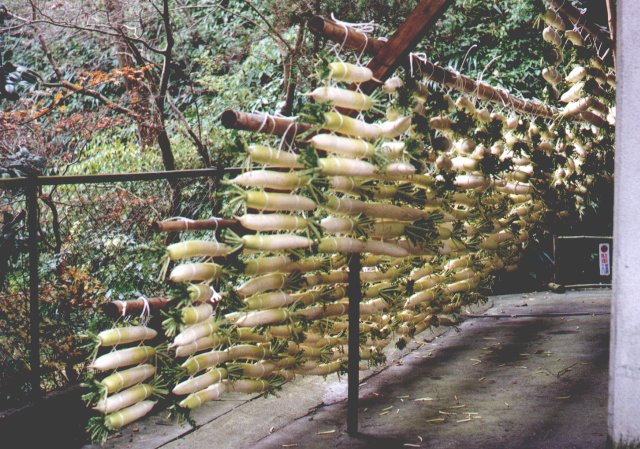 anijaponia-1999-11-28-po-drodze.jpg