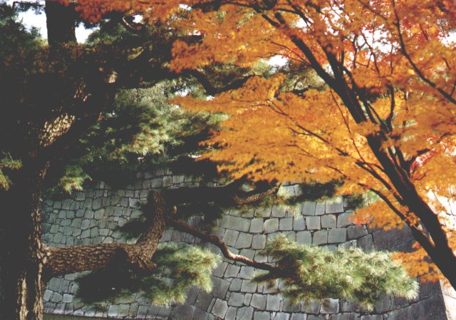 anijaponia-1999-12-04-nijojo-1.jpg