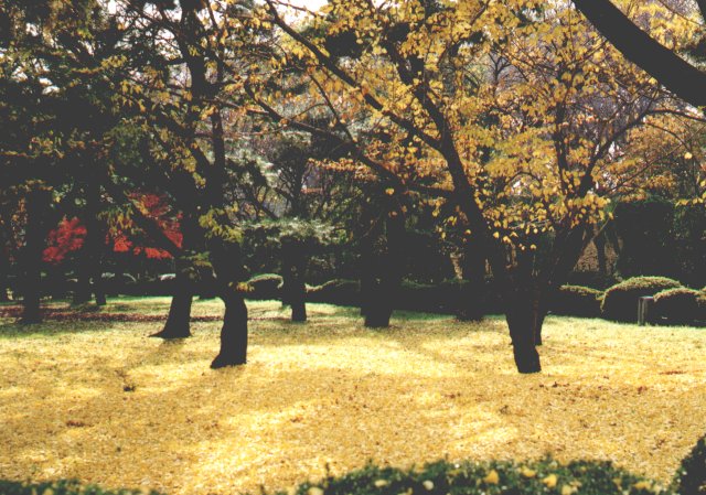 anijaponia-1999-12-04-nijojo-2.jpg