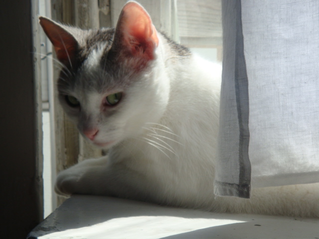 DSC01936.JPG