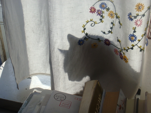 DSC01947.JPG