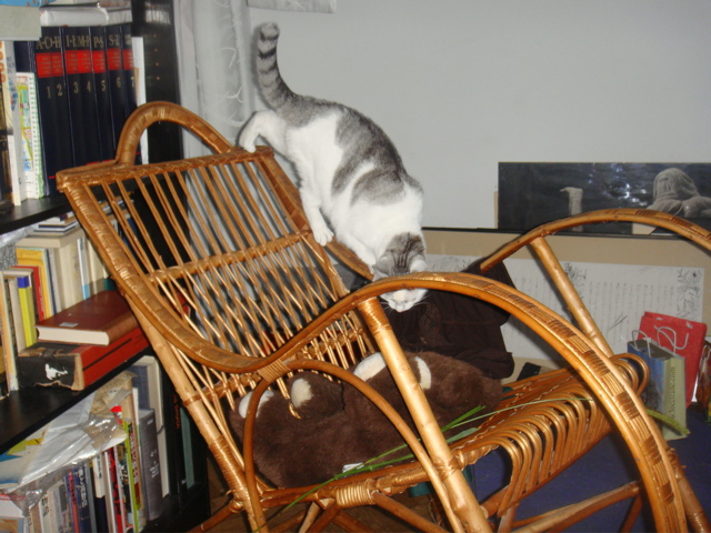 DSC01974.JPG