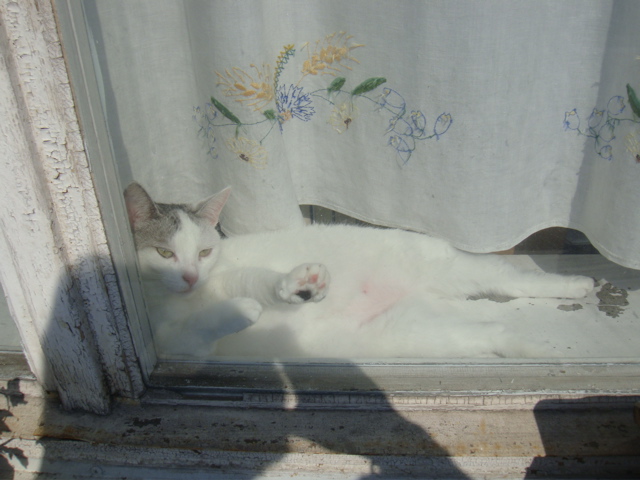 DSC01689.JPG