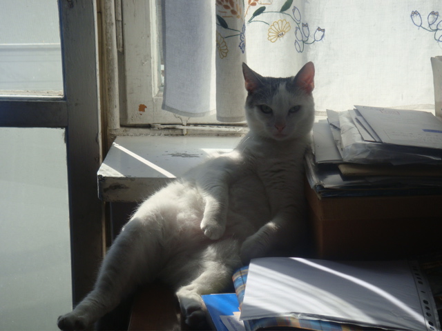 DSC01739.JPG