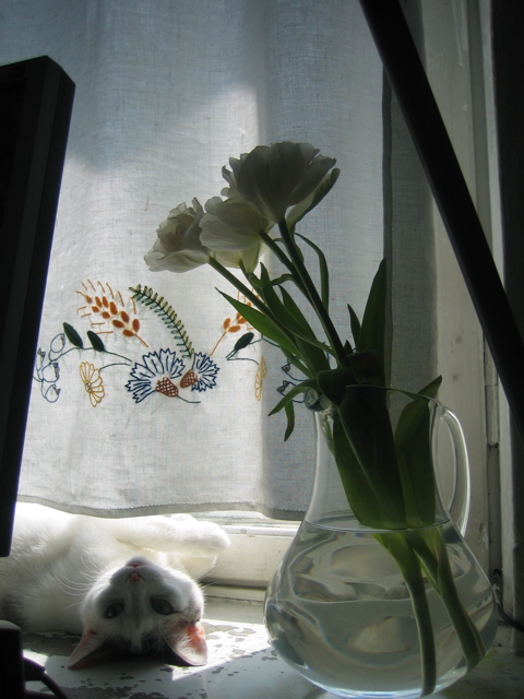 IMG_9727.JPG