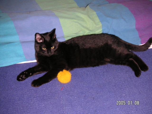PICT1398.JPG