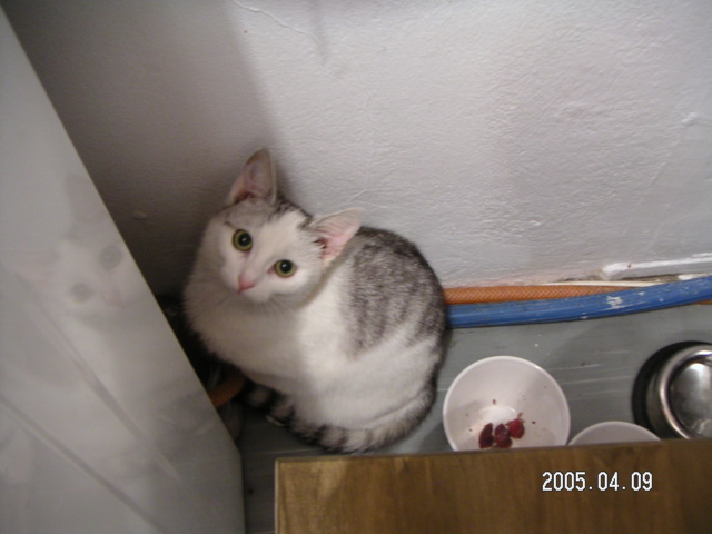 PICT1855.JPG