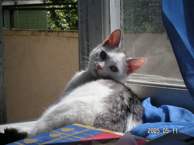 PICT2390.JPG